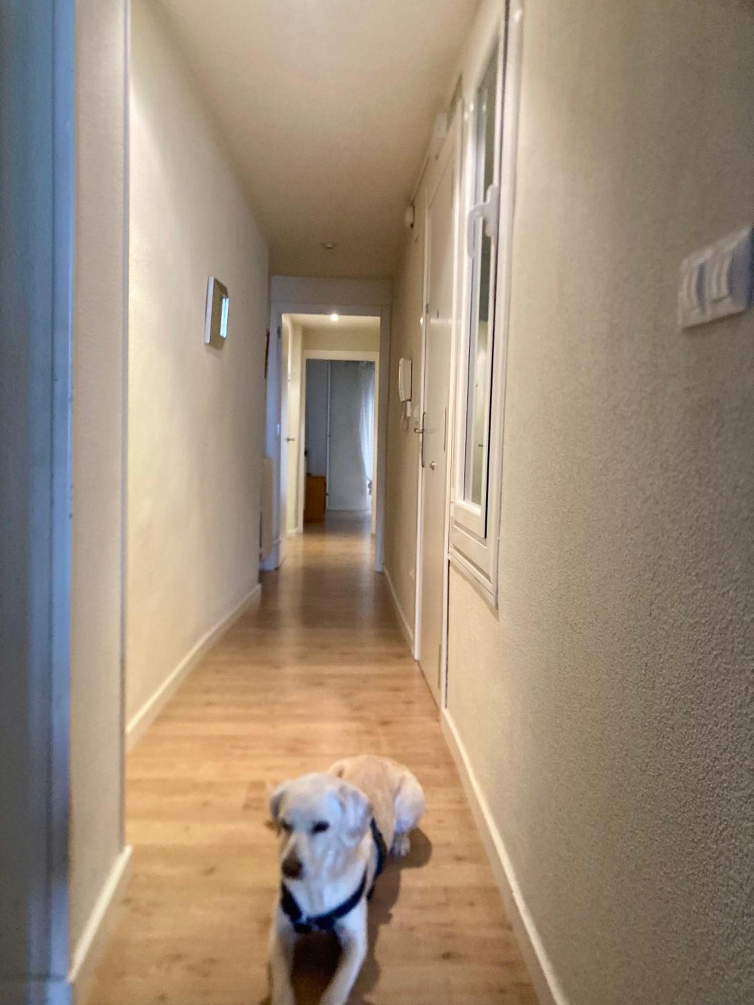 Apartamento San Gregorio Pamplona Esterno foto